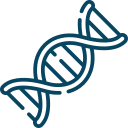 Hormonstatusanalyse & Hormonersatztherapie