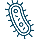 Internist Erfurt Zentrum